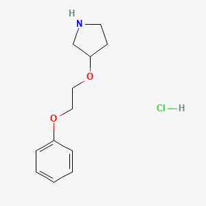 molecular formula C12H18ClNO2 B1395405 3-(2-Phenoxyethoxy)pyrrolidine hydrochloride CAS No. 1219980-06-9