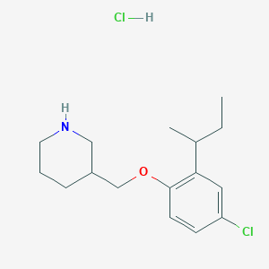 molecular formula C16H25Cl2NO B1395408 3-{[2-(Sec-butyl)-4-chlorophenoxy]-methyl}piperidine hydrochloride CAS No. 1220016-71-6
