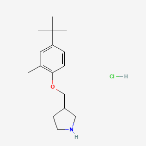 molecular formula C16H26ClNO B1395409 3-{[4-(Tert-butyl)-2-methylphenoxy]-methyl}pyrrolidine hydrochloride CAS No. 1220039-10-0