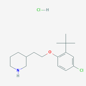 molecular formula C17H27Cl2NO B1395410 3-{2-[2-(Tert-butyl)-4-chlorophenoxy]-ethyl}piperidine hydrochloride CAS No. 1220029-54-8