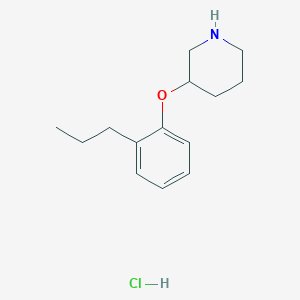 molecular formula C14H22ClNO B1395414 3-(2-Propylphenoxy)piperidine hydrochloride CAS No. 1220027-64-4