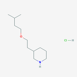 molecular formula C12H26ClNO B1395423 3-[2-(Isopentyloxy)ethyl]piperidine hydrochloride CAS No. 1220030-17-0
