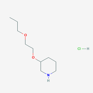 3-(2-Propoxyethoxy)piperidine hydrochloride