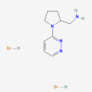 molecular formula C9H16Br2N4 B1395431 [1-(Pyridazin-3-yl)pyrrolidin-2-yl]methanamine dihydrobromide CAS No. 1315366-64-3