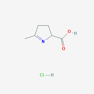 molecular formula C6H10ClNO2 B1395469 5-Methyl-3,4-dihydro-2H-pyrrole-2-carboxylic acid hydrochloride CAS No. 38228-01-2