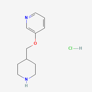 molecular formula C11H17ClN2O B1395480 3-(4-Piperidinylmethoxy)pyridine hydrochloride CAS No. 1219976-35-8