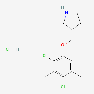 molecular formula C13H18Cl3NO B1395484 3-[(2,4-Dichloro-3,5-dimethylphenoxy)methyl]-pyrrolidine hydrochloride CAS No. 1220032-40-5