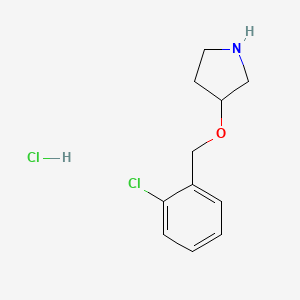 molecular formula C11H15Cl2NO B1395485 3-[(2-Chlorobenzyl)oxy]pyrrolidine hydrochloride CAS No. 1219980-87-6