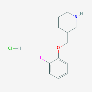 molecular formula C12H17ClINO B1395486 3-[(2-Iodophenoxy)methyl]piperidine hydrochloride CAS No. 1219976-54-1