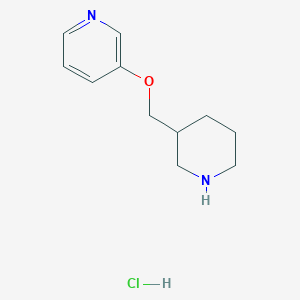 molecular formula C11H17ClN2O B1395491 3-(piperidin-3-ylmethoxy)pyridine hydrochloride CAS No. 1220029-51-5