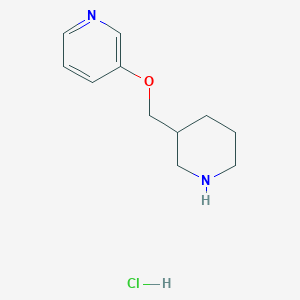 molecular formula C11H17ClN2O B1395491 3-[(3-Pyridinyloxy)methyl]piperidine hydrochloride CAS No. 1220029-51-5