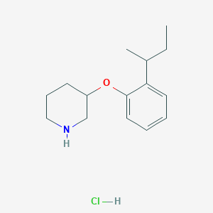 molecular formula C15H24ClNO B1395494 3-[2-(Sec-butyl)phenoxy]piperidine hydrochloride CAS No. 1219972-46-9