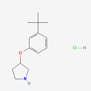 molecular formula C14H22ClNO B1395496 3-[3-(Tert-butyl)phenoxy]pyrrolidine hydrochloride CAS No. 1220037-34-2