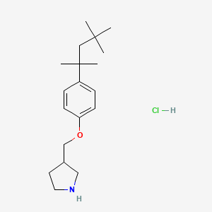 molecular formula C19H32ClNO B1395497 3-{[4-(1,1,3,3-Tetramethylbutyl)phenoxy]-methyl}pyrrolidine hydrochloride CAS No. 1220020-38-1