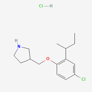 molecular formula C15H23Cl2NO B1395498 3-{[2-(Sec-butyl)-4-chlorophenoxy]-methyl}pyrrolidine hydrochloride CAS No. 1220030-95-4