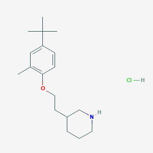 B1395499 3-{2-[4-(Tert-butyl)-2-methylphenoxy]-ethyl}piperidine hydrochloride CAS No. 1220016-49-8