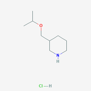 molecular formula C9H20ClNO B1395506 3-(Isopropoxymethyl)piperidine hydrochloride CAS No. 1211462-12-2