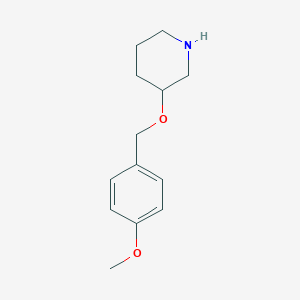 molecular formula C13H19NO2 B1395508 3-[(4-Methoxybenzyl)oxy]piperidine CAS No. 933716-40-6