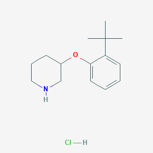 3-[2-(Tert-butyl)phenoxy]piperidine hydrochloride