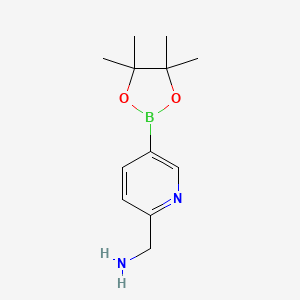 molecular formula C12H19BN2O2 B1395645 (5-(4,4,5,5-Tetramethyl-1,3,2-dioxaborolan-2-YL)pyridin-2-YL)methanamine CAS No. 880495-82-9