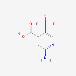 molecular formula C7H5F3N2O2 B1395665 2-氨基-5-(三氟甲基)异烟酸 CAS No. 1227582-08-2