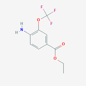 molecular formula C10H10F3NO3 B1395671 Ethyl 4-amino-3-(trifluoromethoxy)benzoate CAS No. 1260742-02-6