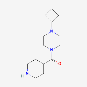 molecular formula C14H25N3O B1395712 1-Cyclobutyl-4-(piperidine-4-carbonyl)piperazine CAS No. 799559-59-4