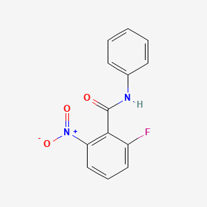 molecular formula C13H9FN2O3 B1395715 2-Fluoro-6-nitro-N-phenylbenzamide CAS No. 870281-83-7