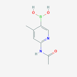 molecular formula C8H11BN2O3 B1395717 6-acetamido-4-methylpyridine-3-boronic acid CAS No. 1111637-72-9
