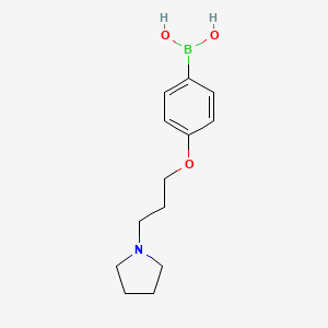 molecular formula C13H20BNO3 B1395828 4-(3-(Pyrrolidin-1-yl)propoxy)phenylboronic acid CAS No. 1003028-33-8