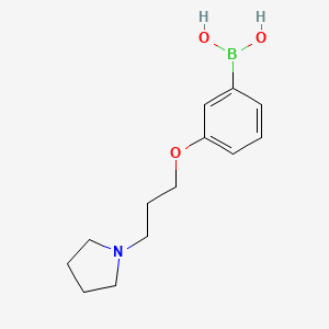 B1395844 (3-(3-(Pyrrolidin-1-yl)propoxy)phenyl)boronic acid CAS No. 1334216-21-5