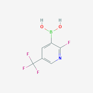 molecular formula C6H4BF4NO2 B1396015 2-Fluoro-5-(trifluoromethyl)pyridine-3-boronic acid CAS No. 1253569-51-5