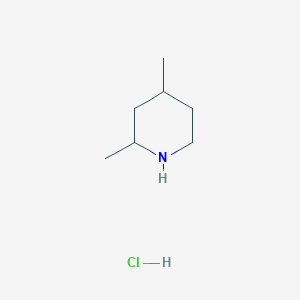 molecular formula C7H16ClN B1396032 2,4-Dimethylpiperidine hydrochloride CAS No. 91846-47-8