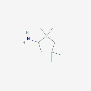 molecular formula C9H19N B1396112 2,2,4,4-Tetramethylcyclopentanamine CAS No. 1092287-89-2