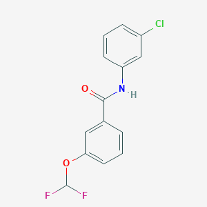molecular formula C14H10ClF2NO2 B13961629 Benzamide, N-(3-chlorophenyl)-3-(difluoromethoxy)- 