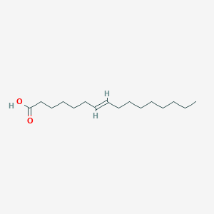 molecular formula C16H30O2 B13961893 Hypogeic acid 