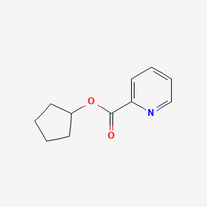 molecular formula C11H13NO2 B13962367 Cyclopentyl Pyridine-2-carboxylate CAS No. 536723-48-5