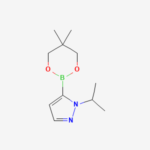 molecular formula C11H19BN2O2 B1396270 5-(5,5-dimethyl-1,3,2-dioxaborinan-2-yl)-1-isopropyl-1H-pyrazole CAS No. 1487356-83-1