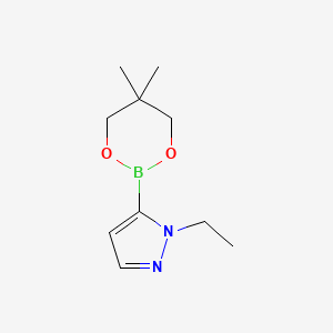 molecular formula C10H17BN2O2 B1396330 5-(5,5-dimethyl-1,3,2-dioxaborinan-2-yl)-1-ethyl-1H-pyrazole CAS No. 1487356-93-3