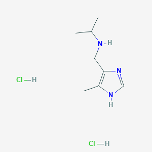 molecular formula C8H17Cl2N3 B1396431 N-[(4-methyl-1H-imidazol-5-yl)methyl]propan-2-amine dihydrochloride CAS No. 1332531-51-7