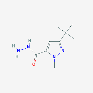 molecular formula C9H16N4O B1396714 5-tert-butyl-2-methyl-2H-pyrazole-3-carboxylic acid hydrazide CAS No. 1111234-95-7