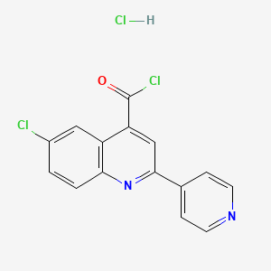 molecular formula C15H9Cl3N2O B1396770 6-Chloro-2-(pyridin-4-yl)quinoline-4-carbonyl chloride hydrochloride CAS No. 1332529-00-6