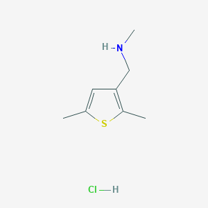 molecular formula C8H14ClNS B1396784 [(2,5-Dimethyl-3-thienyl)methyl]methylamine hydrochloride CAS No. 1332531-27-7