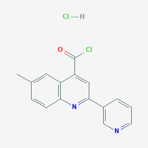 molecular formula C16H12Cl2N2O B1396790 6-甲基-2-(吡啶-3-基)喹啉-4-甲酰氯盐酸盐 CAS No. 1332529-35-7