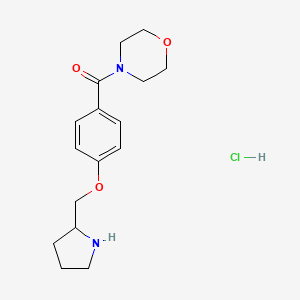 molecular formula C16H23ClN2O3 B1396800 4-[4-(Pyrrolidin-2-ylmethoxy)benzoyl]morpholinehydrochloride CAS No. 1332529-62-0