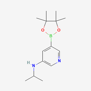 molecular formula C14H23BN2O2 B1396906 N-Isopropyl-5-(4,4,5,5-tetramethyl-1,3,2-dioxaborolan-2-YL)pyridin-3-amine CAS No. 1201644-38-3