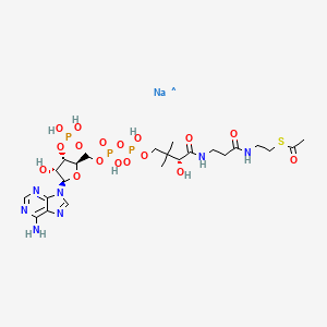 molecular formula C23H38N7NaO17P3S B13969228 Acetyl-Coenzyme A (sodium salt) 
