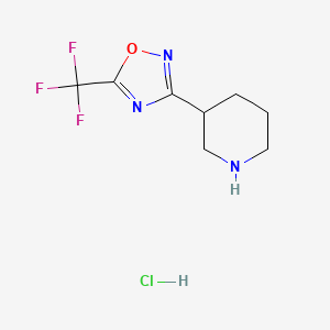 molecular formula C8H11ClF3N3O B1396949 3-[5-(Trifluoromethyl)-1,2,4-oxadiazol-3-yl]piperidine hydrochloride CAS No. 1315610-08-2