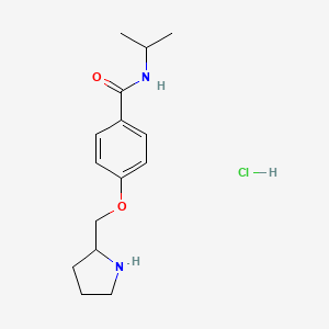 molecular formula C15H23ClN2O2 B1396972 N-Isopropyl-4-(pyrrolidin-2-ylmethoxy)benzamidehydrochloride CAS No. 1332531-55-1