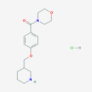 molecular formula C17H25ClN2O3 B1396973 4-[4-(Piperidin-3-ylmethoxy)benzoyl]morpholinehydrochloride CAS No. 1332529-26-6